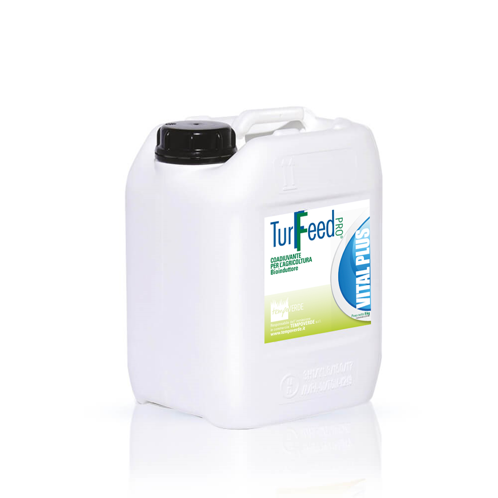 VITAL PLUS VITAL PLUS