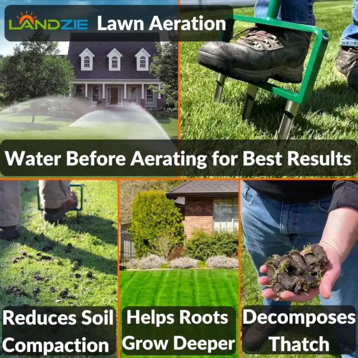 Ročni prezračevalnik z votlimi konicami landzie Landzie fork aerator amazon feature x x
